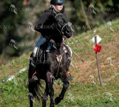 TREC02-06082024-205