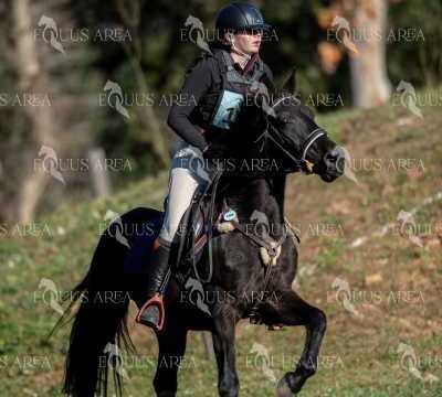 TREC02-06082024-206