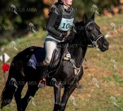 TREC02-06082024-207