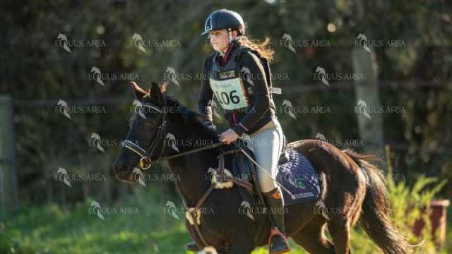 TREC02-06082024-208