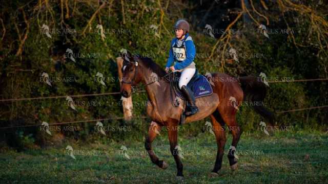 TREC02-06082024-21