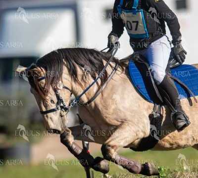TREC02-06082024-210