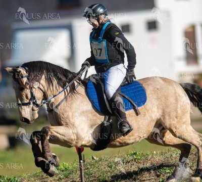 TREC02-06082024-211