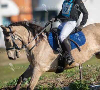 TREC02-06082024-212