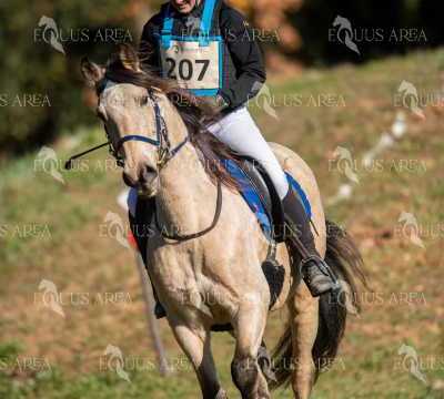 TREC02-06082024-213