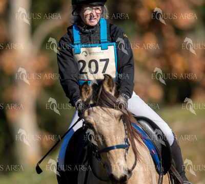 TREC02-06082024-214
