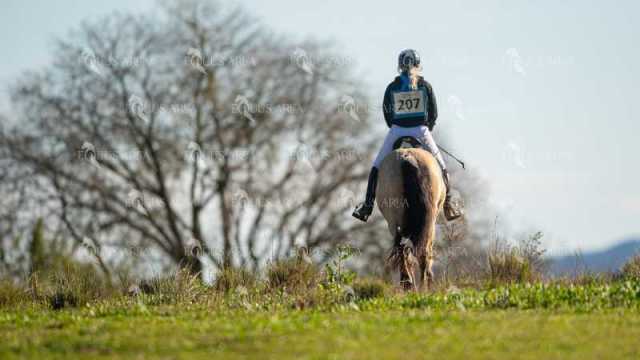 TREC02-06082024-215