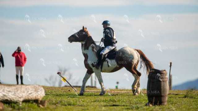 TREC02-06082024-216