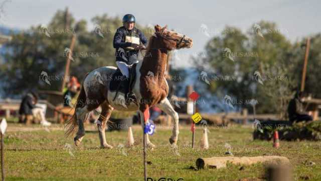 TREC02-06082024-217