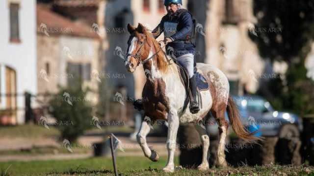 TREC02-06082024-218