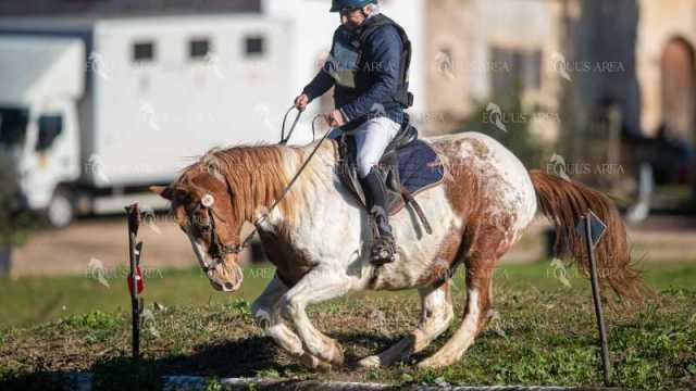 TREC02-06082024-219
