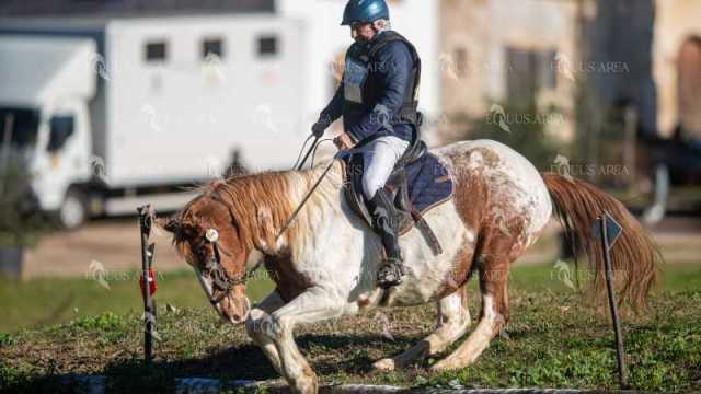 TREC02-06082024-220