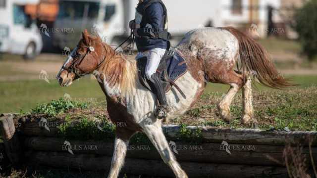 TREC02-06082024-221