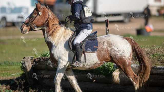 TREC02-06082024-222