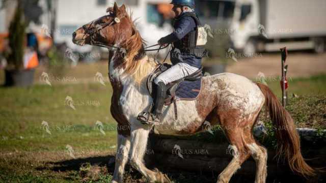 TREC02-06082024-223