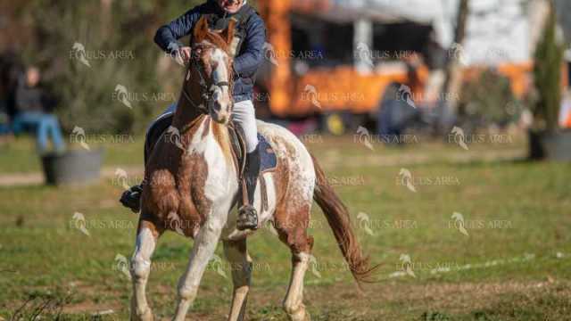 TREC02-06082024-224