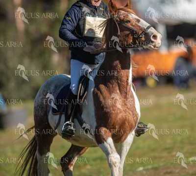 TREC02-06082024-225