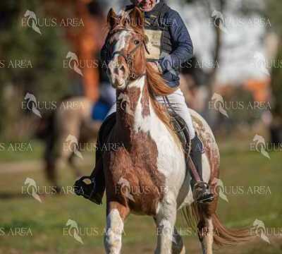 TREC02-06082024-226