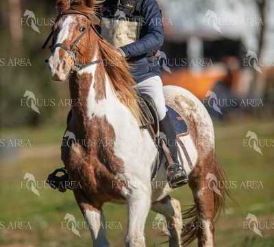 TREC02-06082024-227