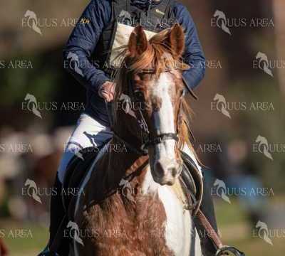 TREC02-06082024-228
