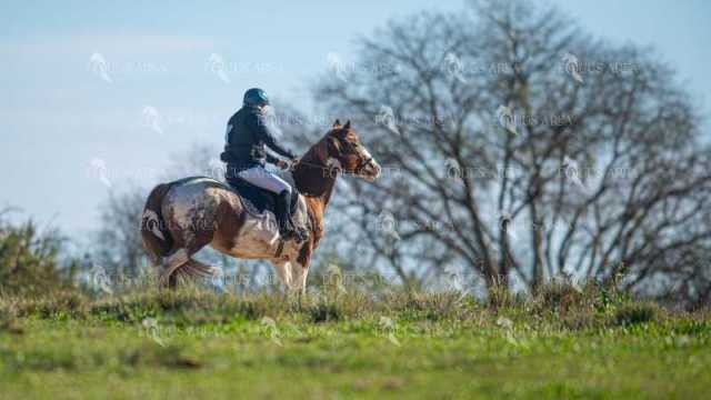 TREC02-06082024-229