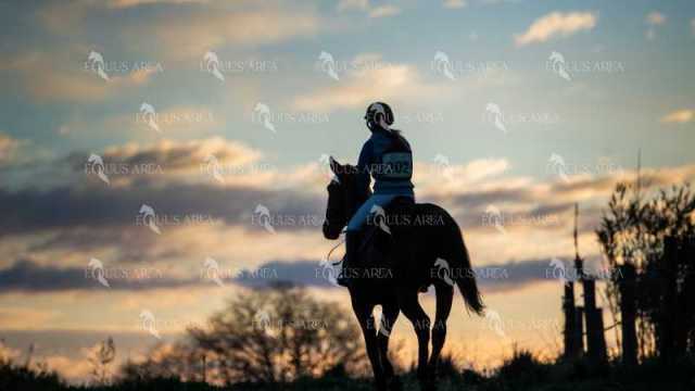 TREC02-06082024-23