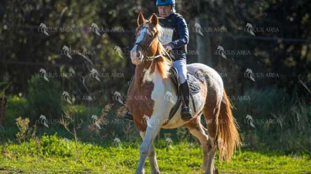 TREC02-06082024-231