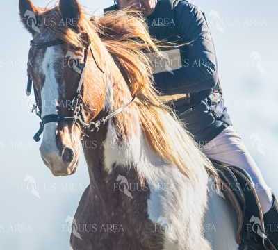 TREC02-06082024-232