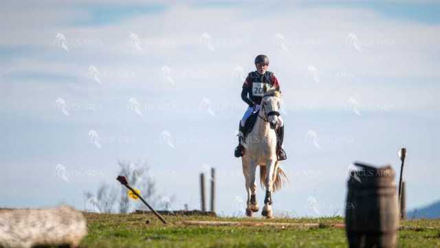 TREC02-06082024-233