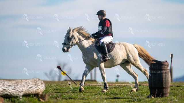 TREC02-06082024-234
