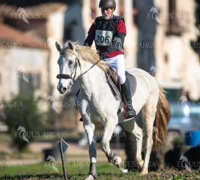 TREC02-06082024-235