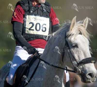 TREC02-06082024-237