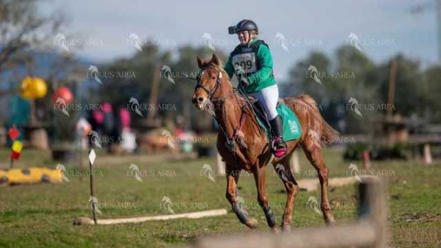 TREC02-06082024-242