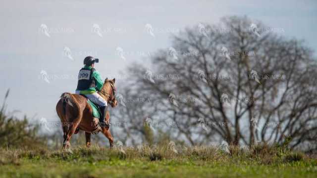 TREC02-06082024-248