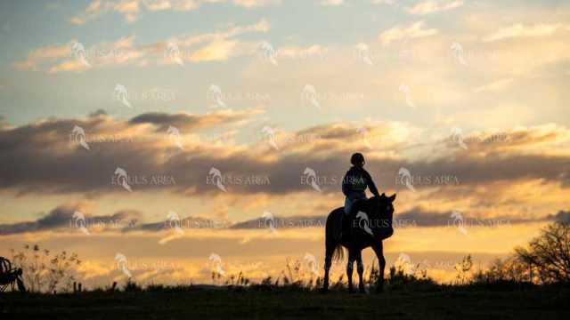 TREC02-06082024-25