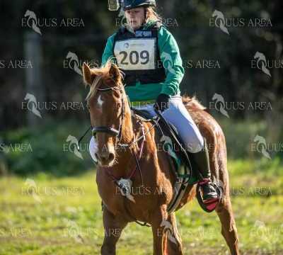 TREC02-06082024-250
