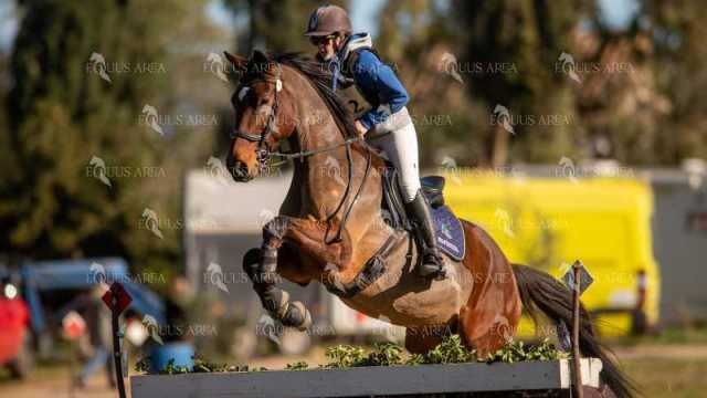 TREC02-06082024-254