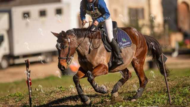 TREC02-06082024-255
