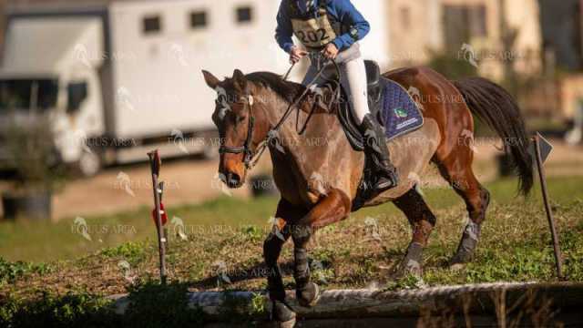 TREC02-06082024-256