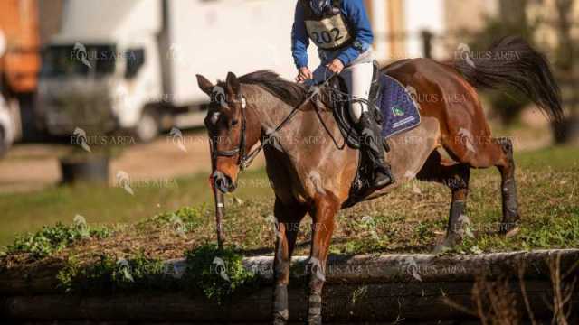 TREC02-06082024-257