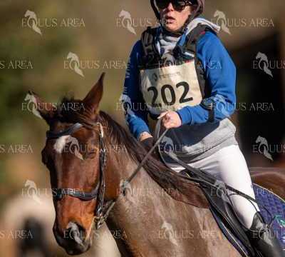 TREC02-06082024-258
