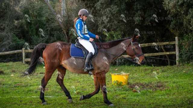 TREC02-06082024-26