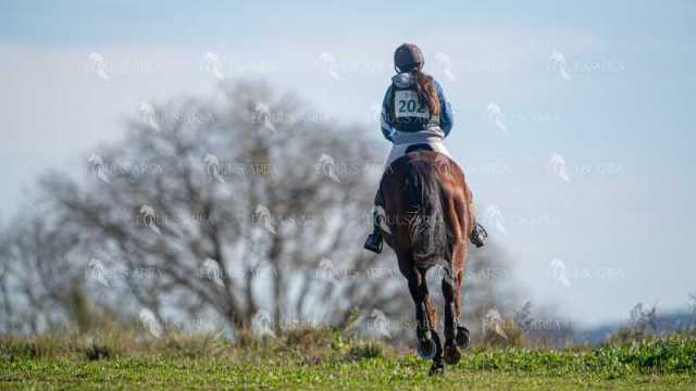 TREC02-06082024-262