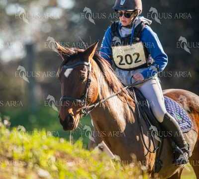 TREC02-06082024-264