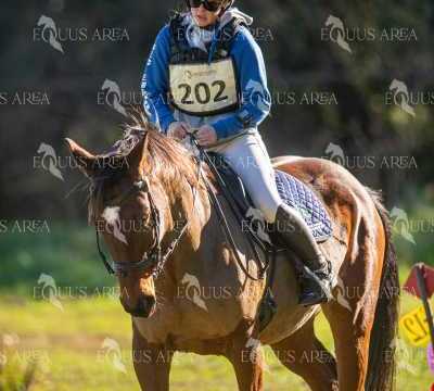 TREC02-06082024-265