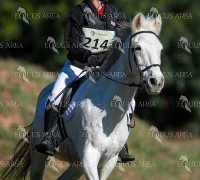 TREC02-06082024-270