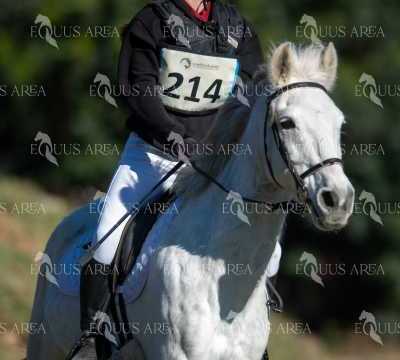 TREC02-06082024-271