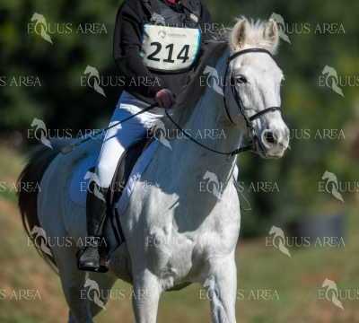 TREC02-06082024-272