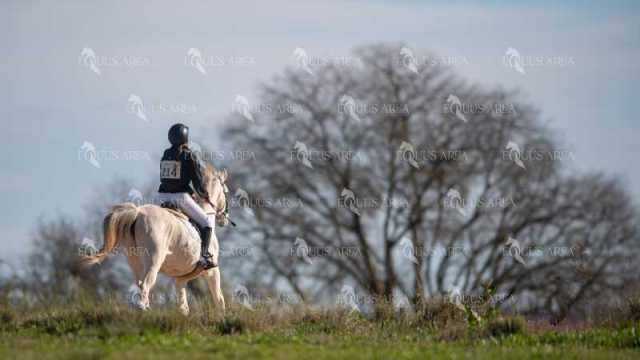 TREC02-06082024-273