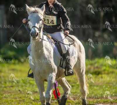 TREC02-06082024-275